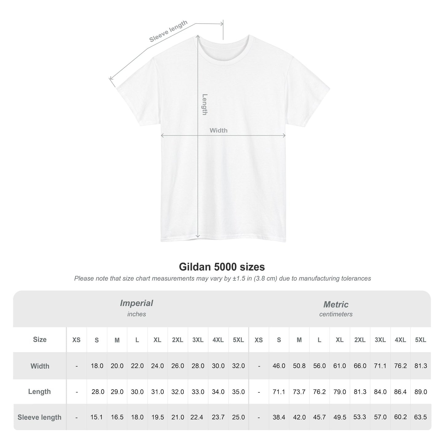 BLESSED Christian T-Shirt | Faith Scripture Tee