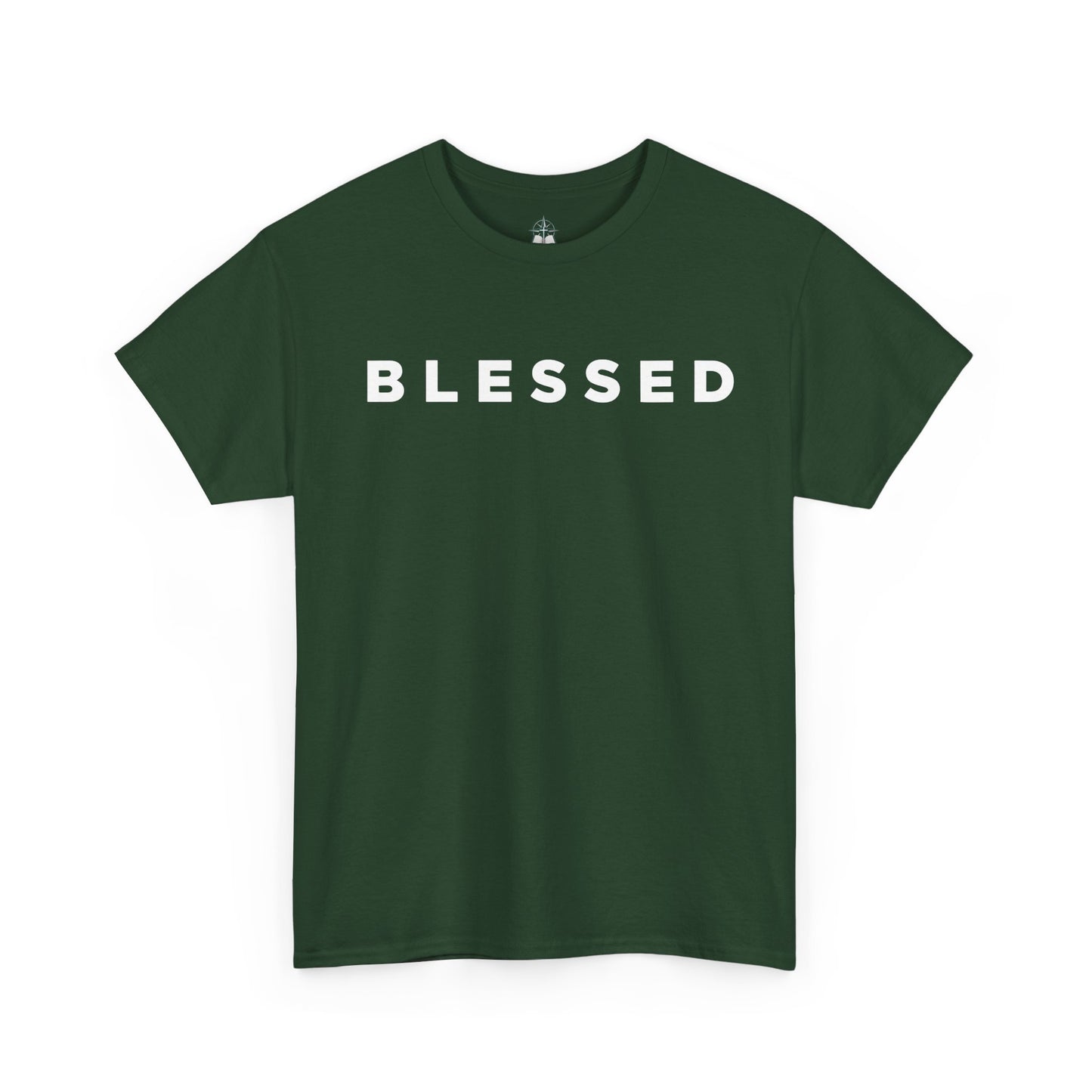 Blessed Christian T-Shirt | Faith Scripture Tee, Religious Apparel